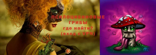 соль курить ск Богородск