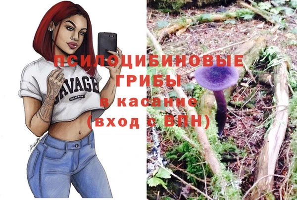 хмурый Богородицк