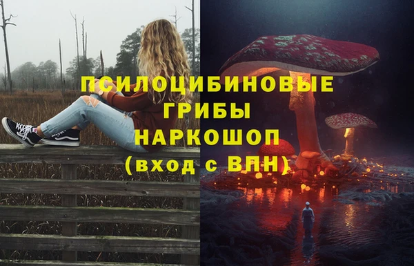 соль курить ск Богородск